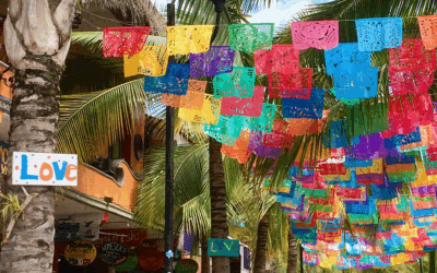 Serena Travels to Sayulita, Mexico